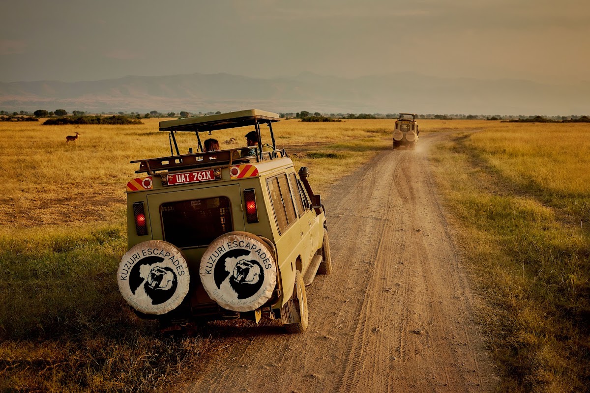 7 days gorilla, rhino and wildlife safari