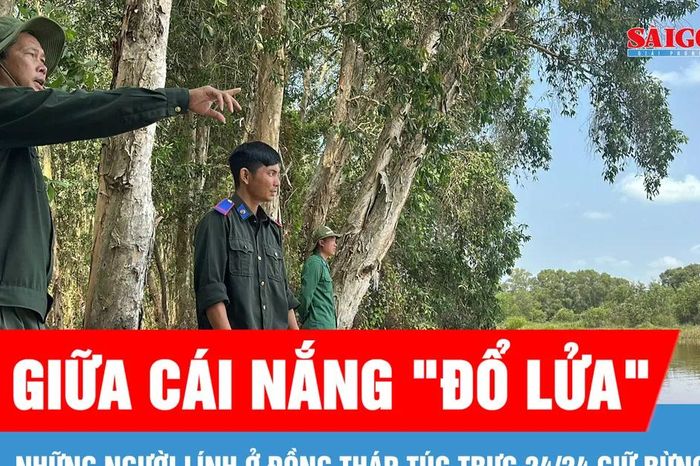 Giữa cái nắng 'đổ lửa', những người lính ở Đồng Tháp túc trực 24/24 giữ rừng - Báo Sài Gòn Giải Phóng