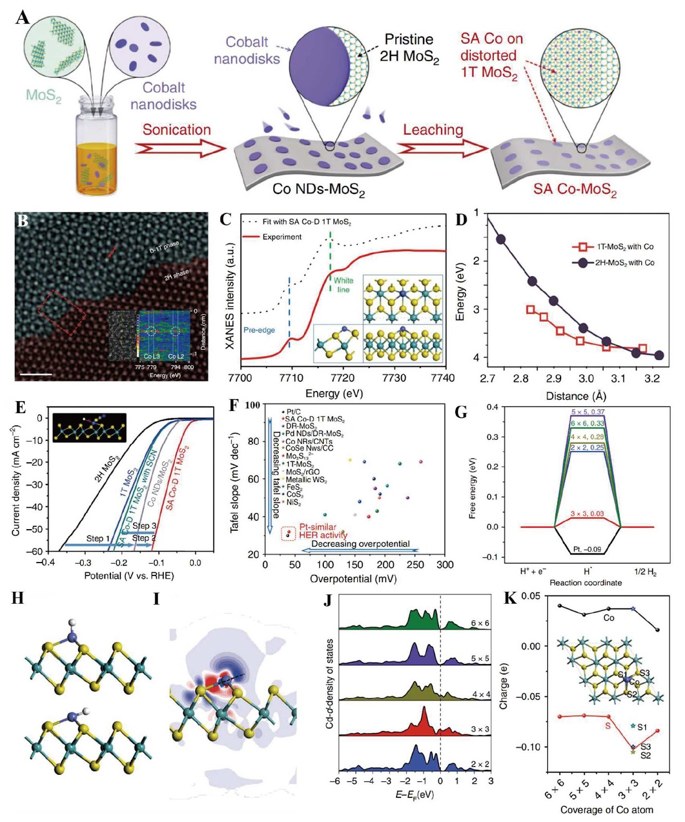 Innovative Single Atom Arrays for the Electrocatalytic Reaction