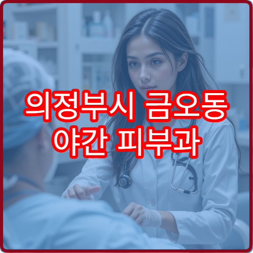 의정부시 금오동 야간 피부과 대상포진 발진 진료 병원 정보