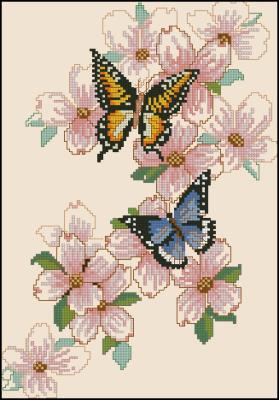 CMP 130243 Pattern
