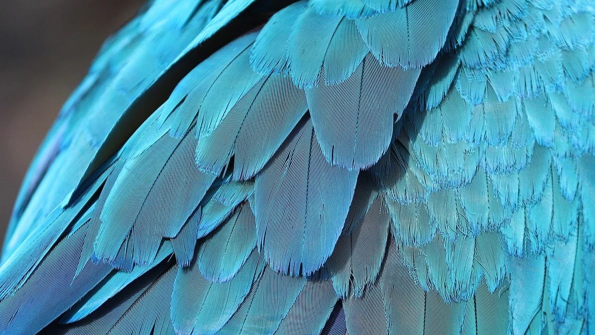 프랑스 혁명 의미와 역사적 맥락, 유럽 정치 변화의 기점