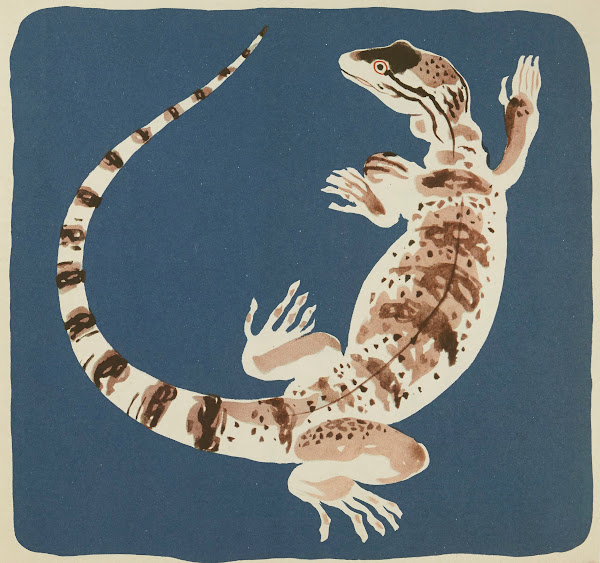 Nouvelles images à colorier Reptiles Pl05 1938