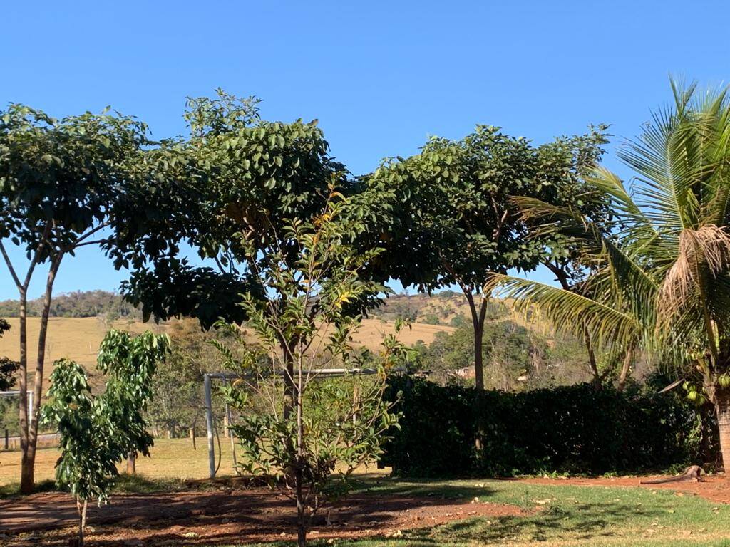 Chácara Petrolina de Goiás 9