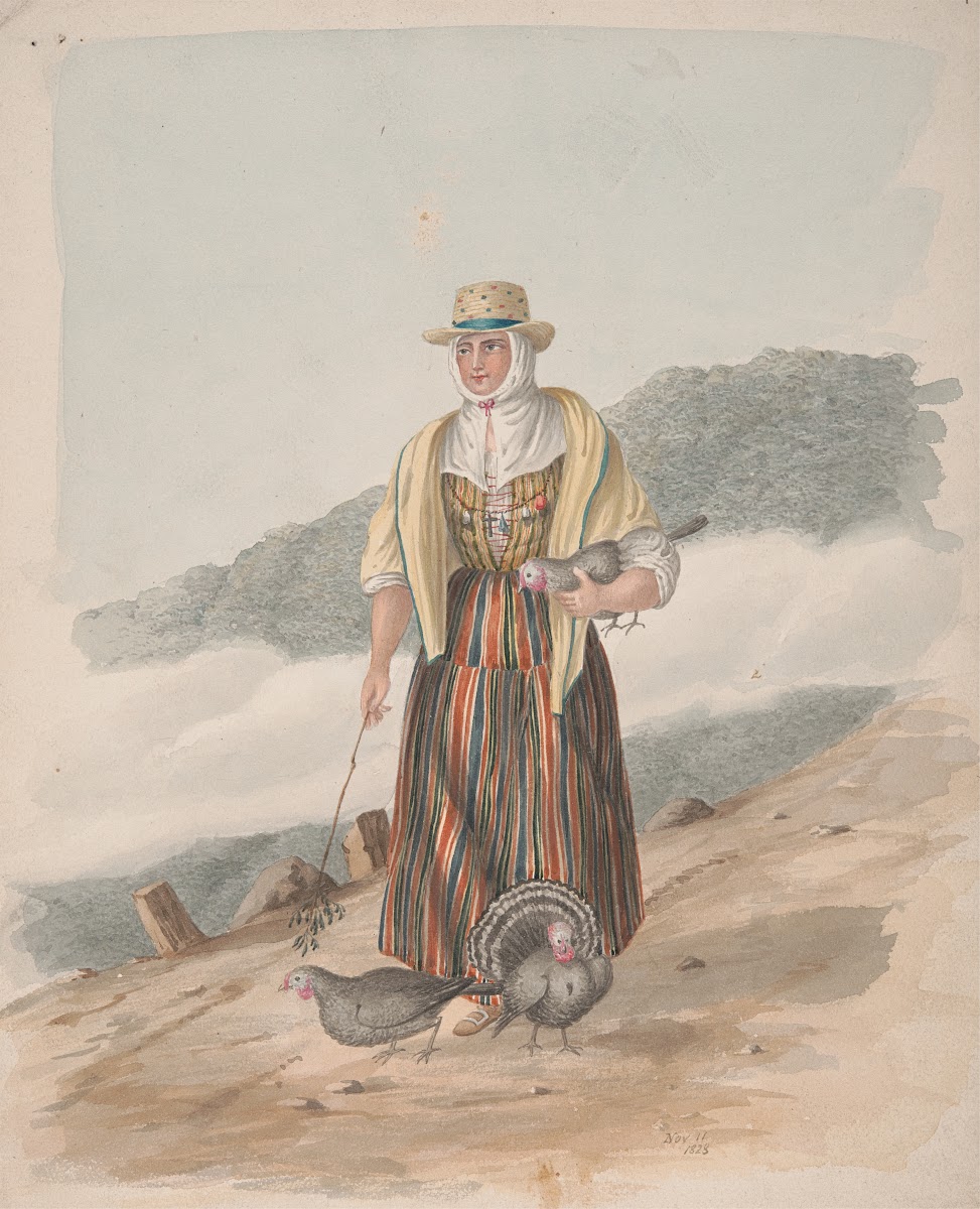 Woman of Ycod el Alto Tenerife 1828