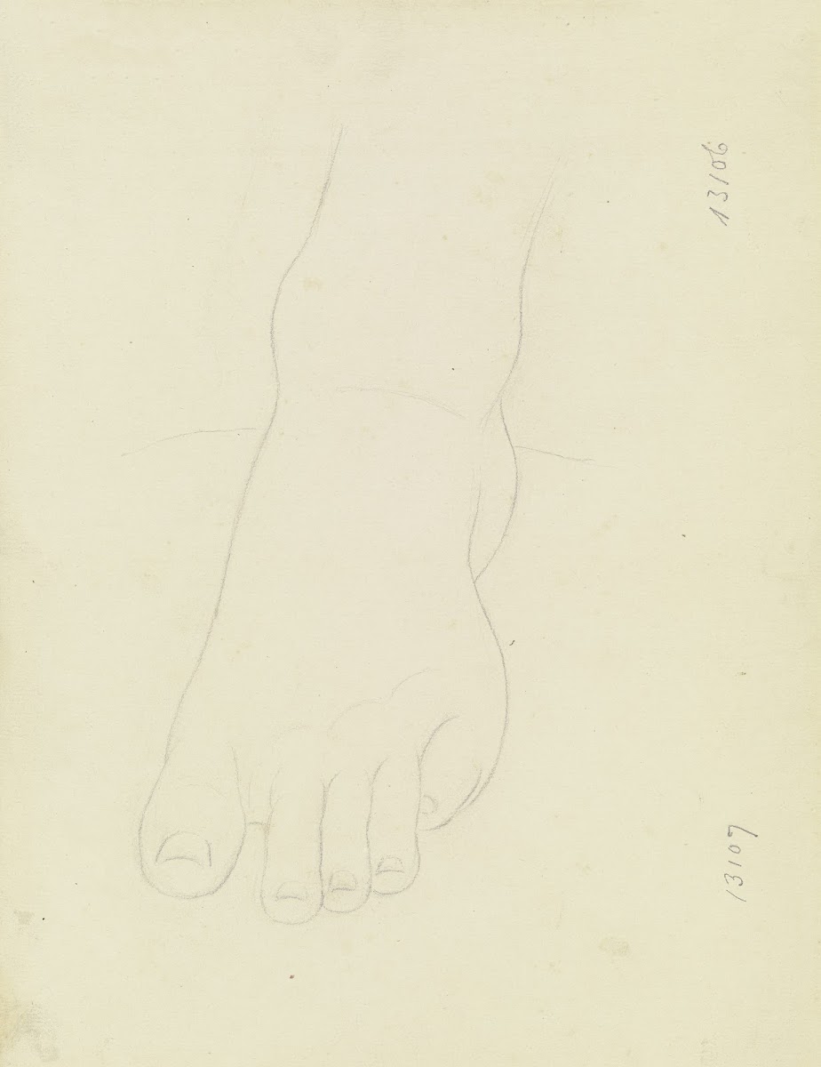 Foot