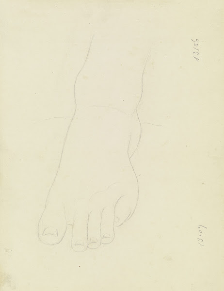 Foot