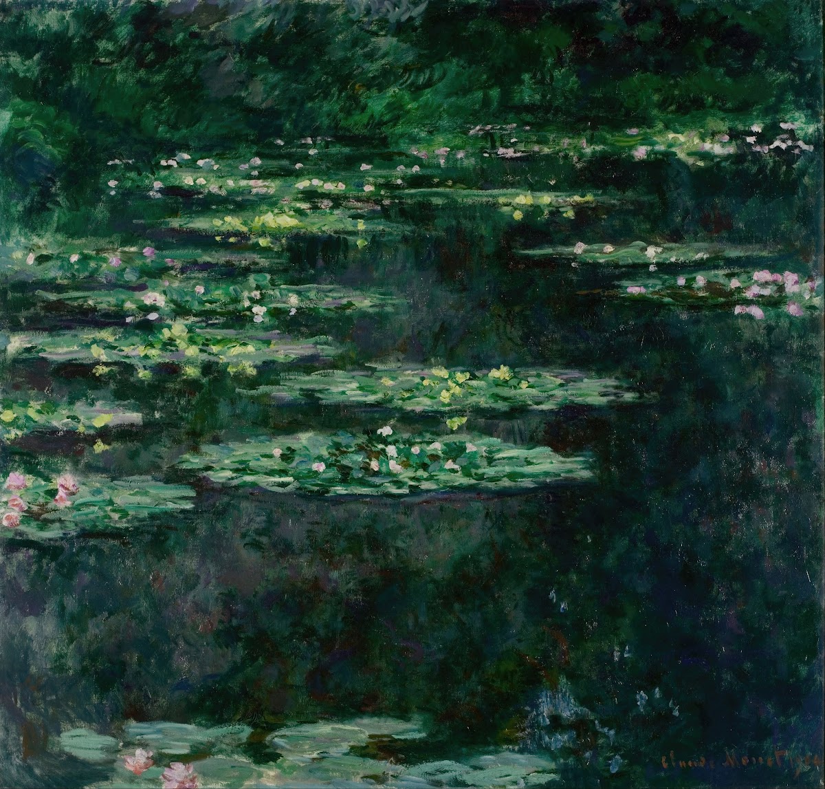 Waterlilies 1904