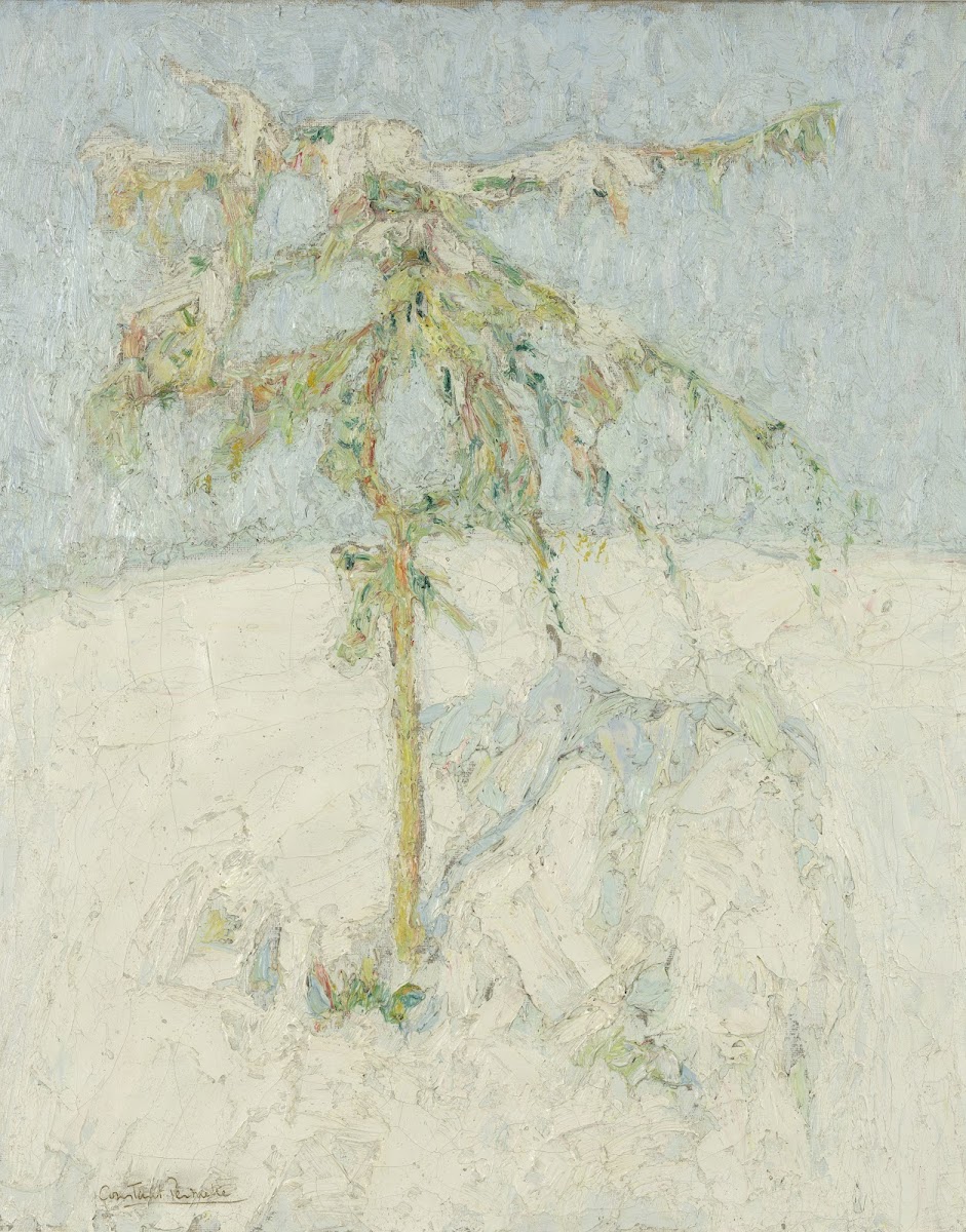 Sneeuwlandschap in de Ardennen 1909