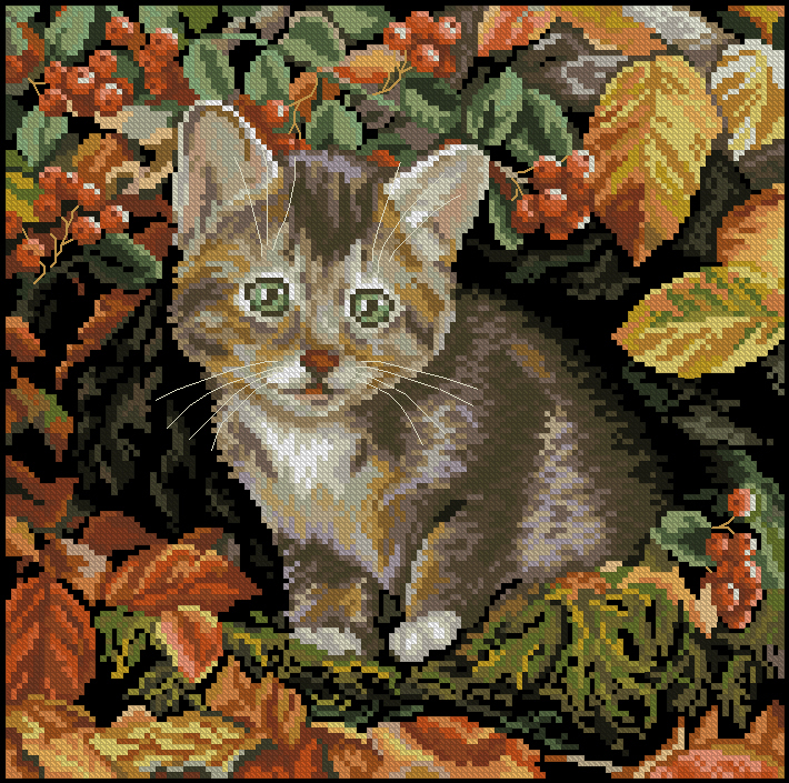 CMP M271 Autumn Kitten