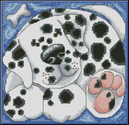 CMP 190115 Dalmatian