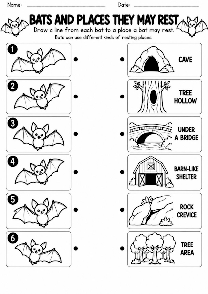 Bat Habitat Picture Match Worksheet