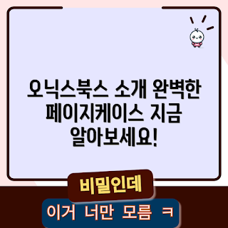 오닉스북스페이지케이스, 오닉스북스 정보, 페이지케이스 유형, 전자책 케이스, 책 보호 케이스