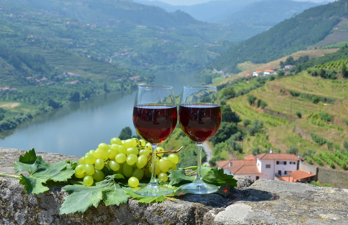 A Family's 4-Day Douro Valley & Porto Journey