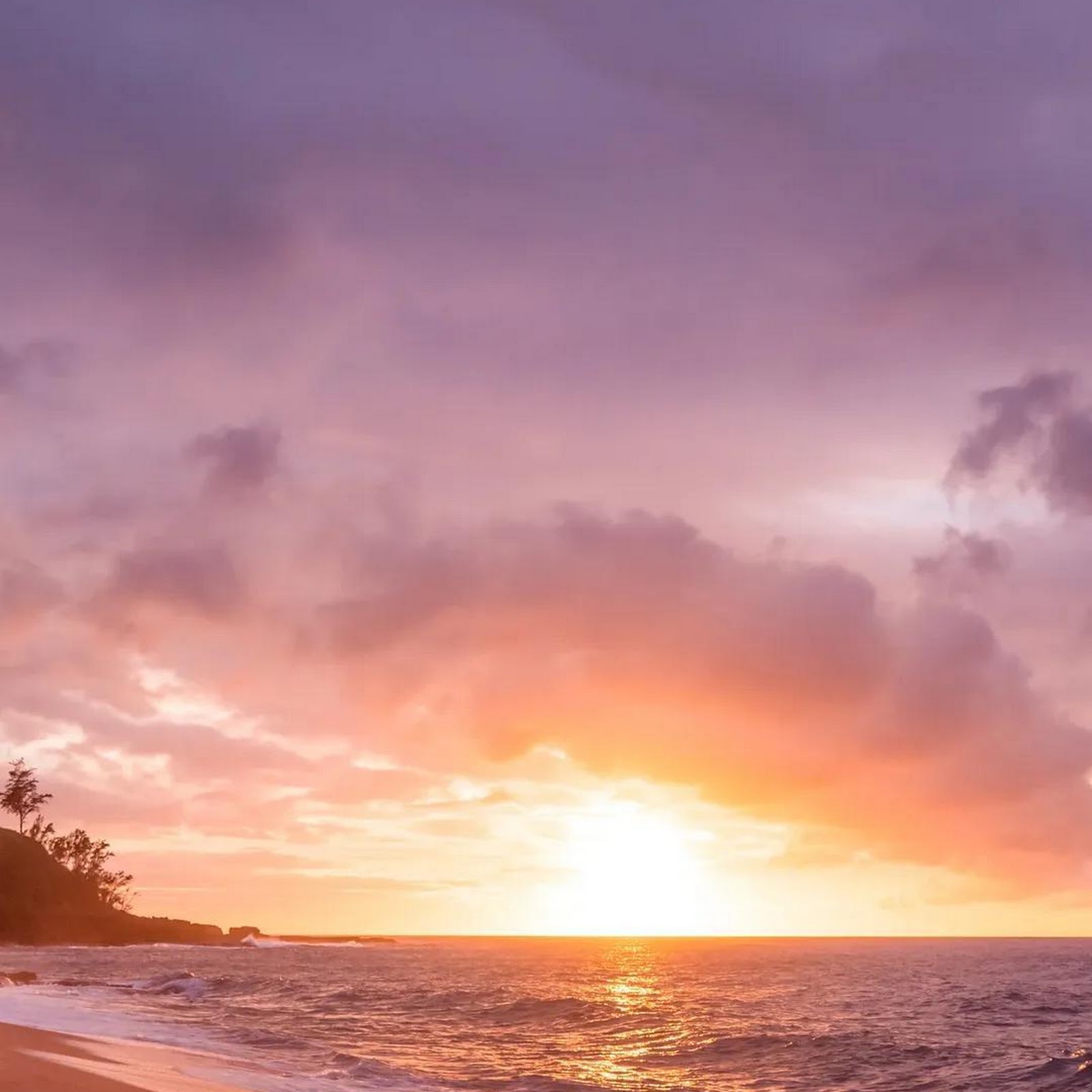Download Golden Sunset On Sandy Beach Full HD iPhone