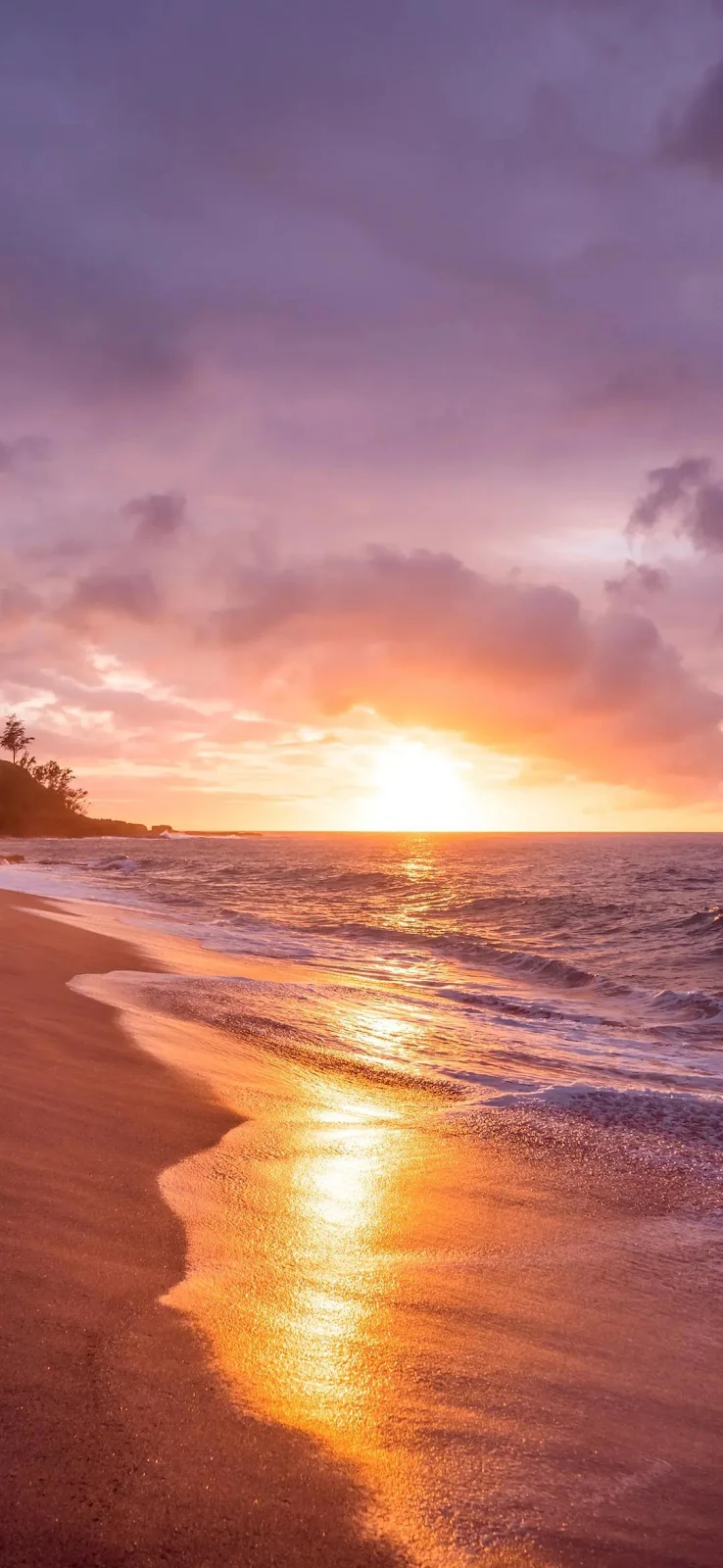 Golden Sunset On Sandy Beach - Nature Photography Full HD iPhone Wallpaper (1080x2340)