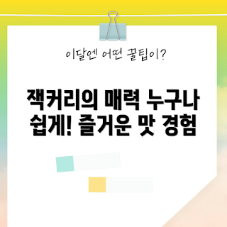 잭커리100plus, 간편한 음료, 건강한 선택, 2023 음료 트렌드, 누구나 즐길 수 있는