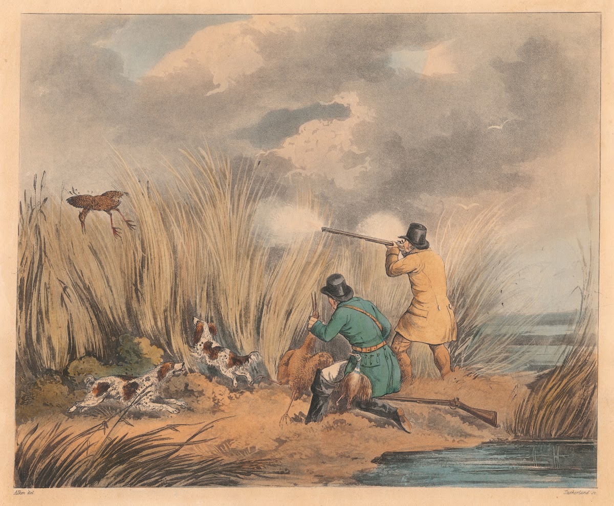 Bittern Shooting 1817