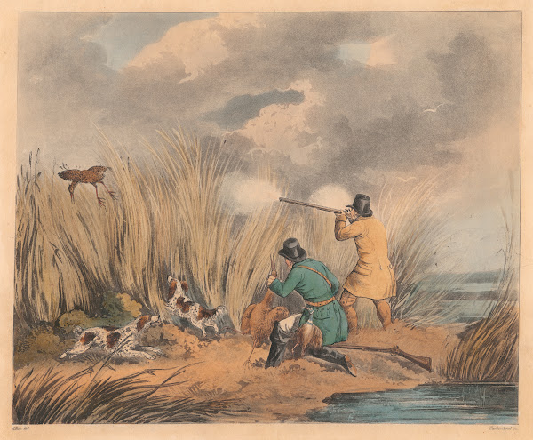 Bittern Shooting 1817