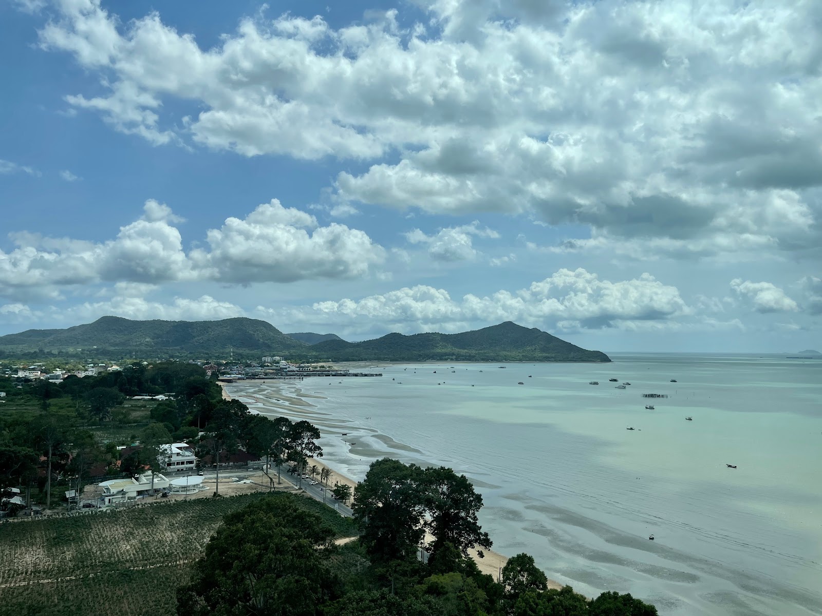 Grand Caribbean A - 1 Bed, Floor 7