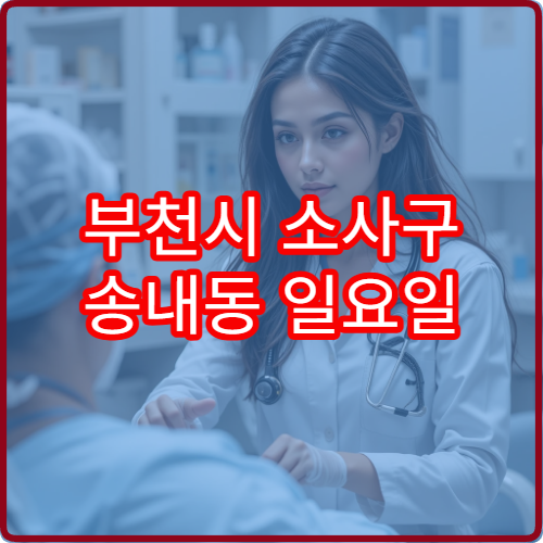 부천시 소사구 송내동 일요일 산부인과 생리불순