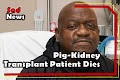 Pig-Kidney Transplant Patient Dies Nearly Two Months After Surgery