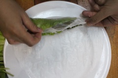 Bánh tráng nhúng nước cho mềm rồi đặt lên mặt phẳng hoặc đĩa lớn. Tiếp theo cho rau thơm và một ít bún tươi vào, cuốn một vòng để giữ rau cố định.