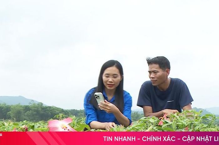 Tuổi trẻ Hà Tĩnh tiên phong chuyển đổi số - Báo Hà Tĩnh
