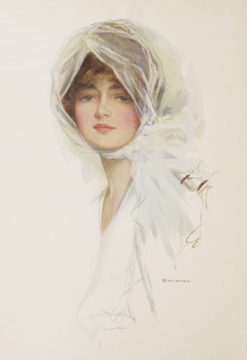 Harrison Fisher girls Pl1 1914