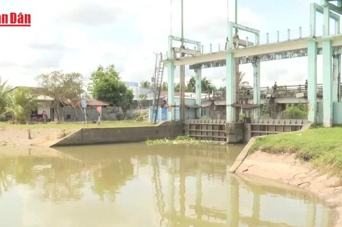 Xâm nhập mặn có xu thế tăng dần vào cuối tuần - Báo Nhân Dân