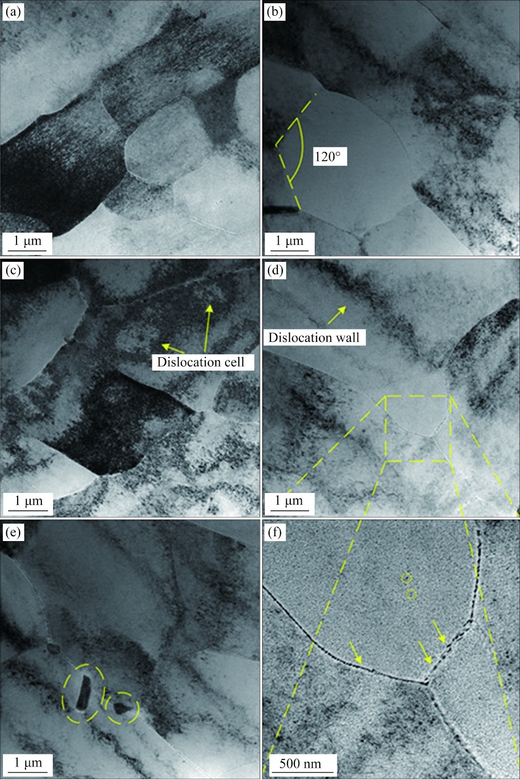 Cryogenic forging effects and mechanisms on surface coarse grain microstructure in H-shaped 7050 aluminum forgings