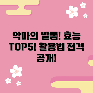 헝가리악마의발톱, 건강효능, 자연요법, 초보자 활용법, 통증 완화