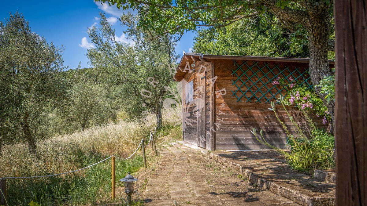 פודרה רוזאטה (Podere Rosata) — 40