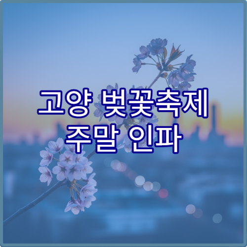 고양 벚꽃축제 주말 인파 앱으로 미리 확인하고 방문