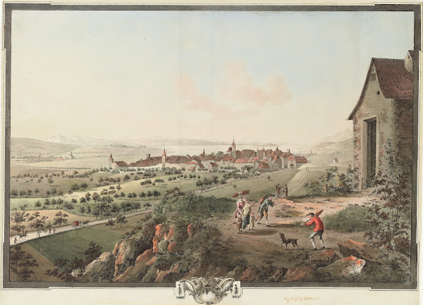 Vue de la Ville de Bienne de Nidau et de lIsle de St Pierre avec les Environs du
