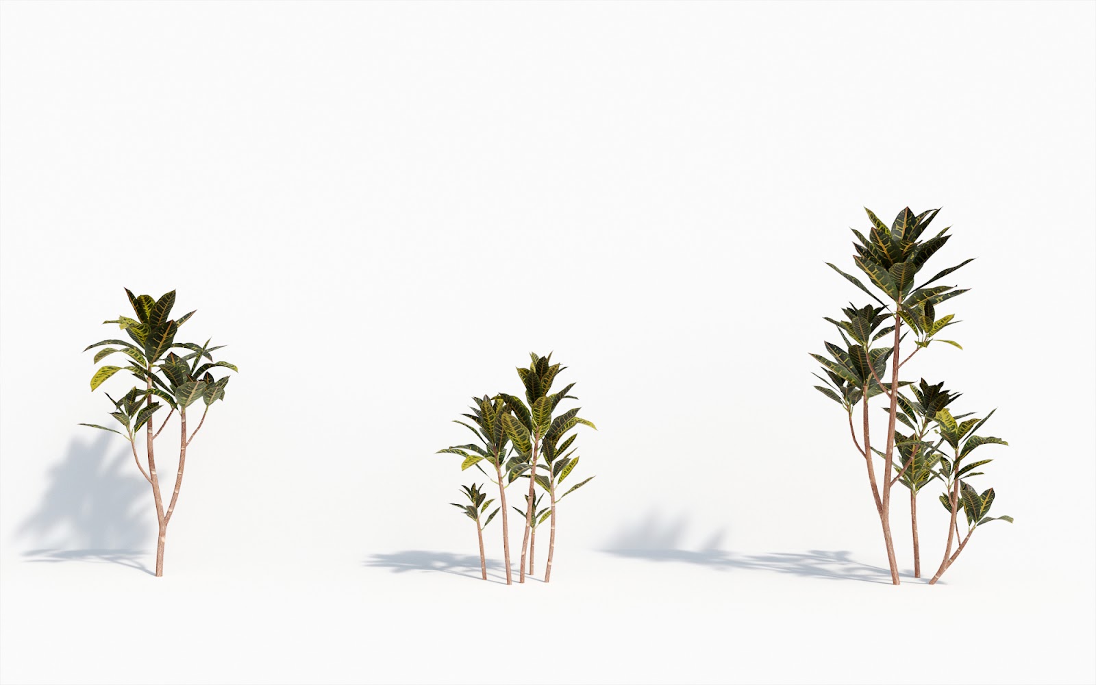 Maxtree - Plant Models Vol.8