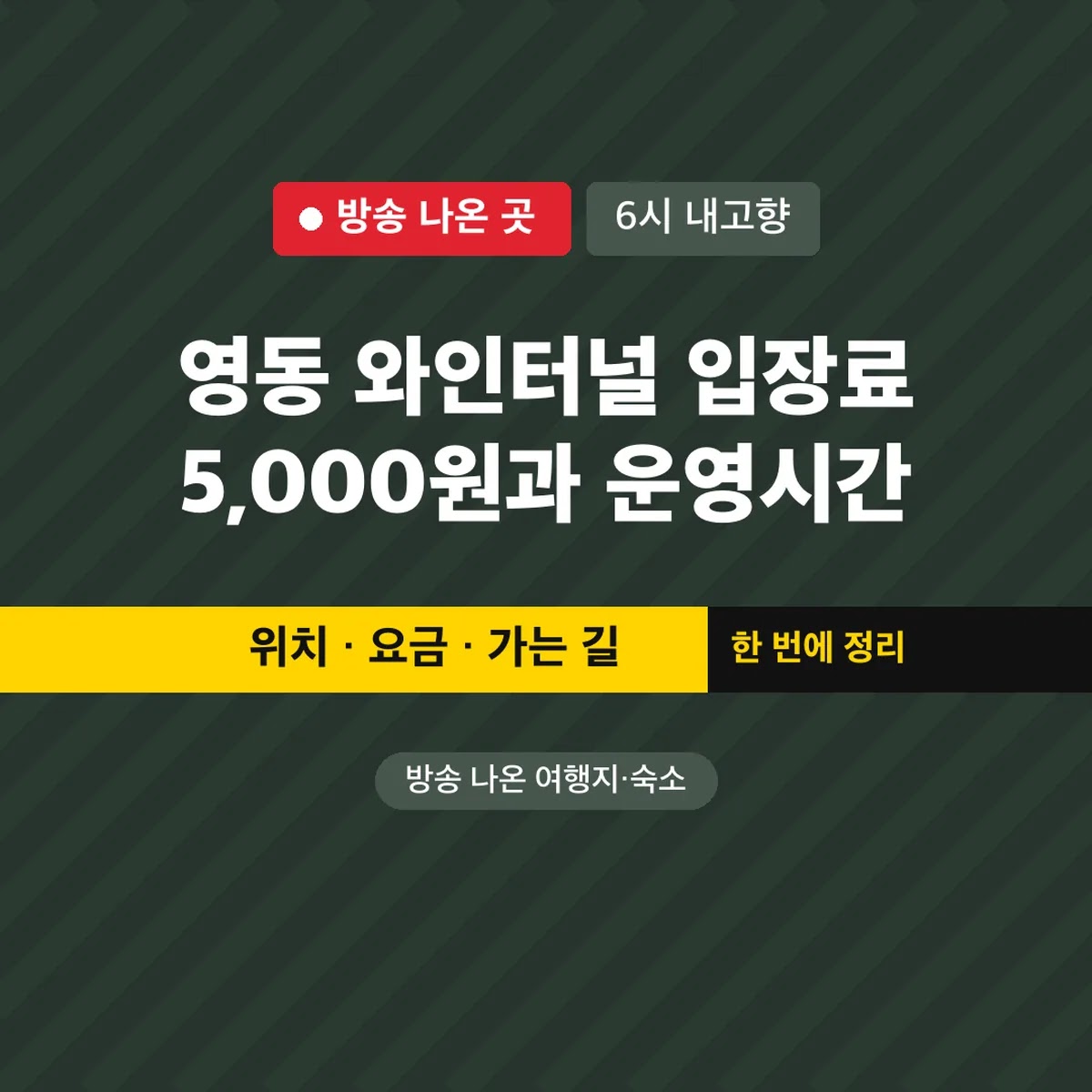 6시 내고향 영동 와인터널 입장료 5,000원과 운영시간
