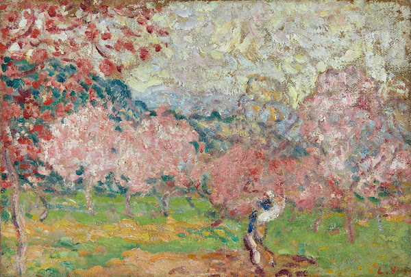 Cerisiers en fleurs Cagnes circa 1903