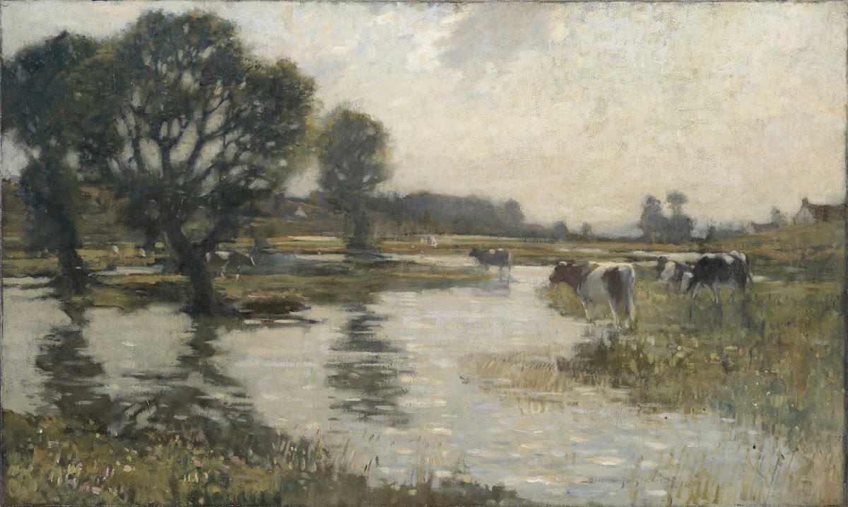 Flooded meadows