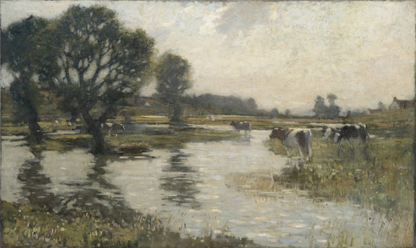 Flooded meadows