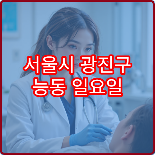 서울시 광진구 능동 일요일 이비인후과 진료 병원 안내 주말 이비인후과 위치 안내