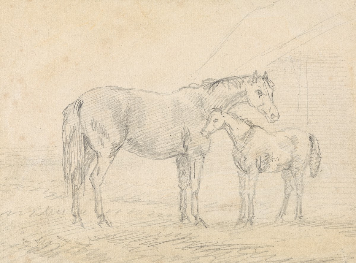 Mare with Foal