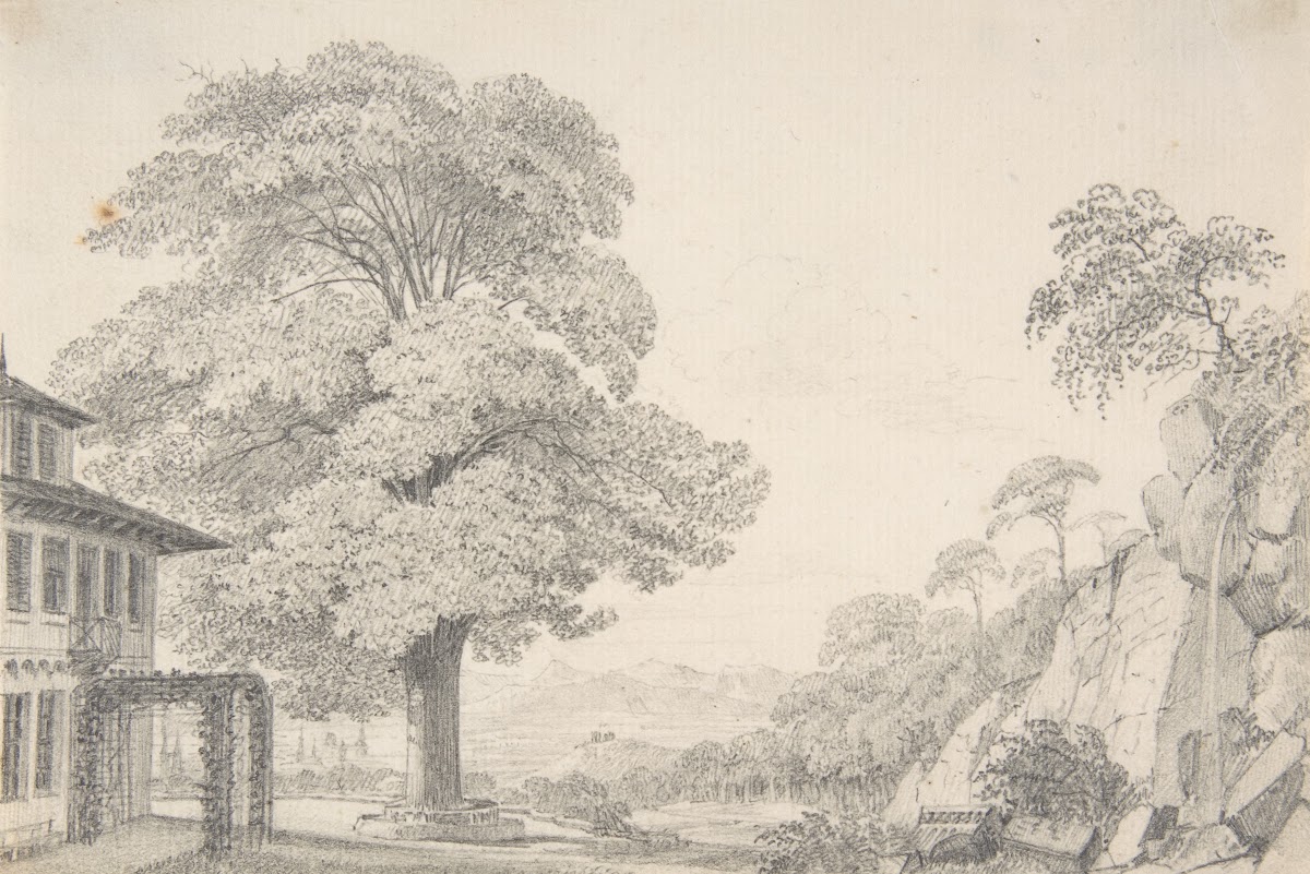 Landscape with a Tree in front of a Villa 180177