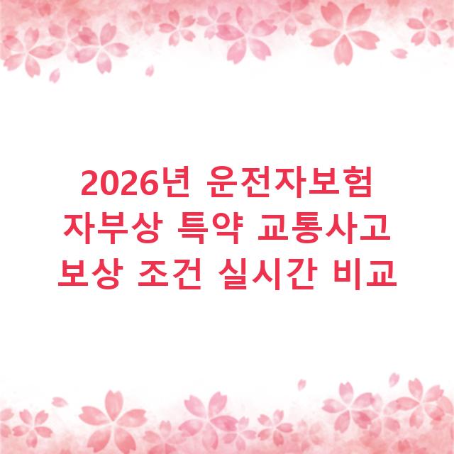 2026년 운전자보험 자부상 특약 교통사고 보상 조건 실시간 비교
