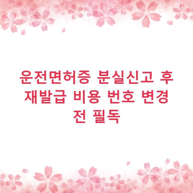운전면허증 분실신고 후 재발급 비용 번호 변경 전 필독