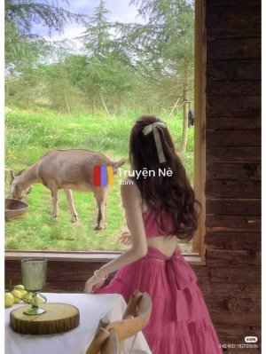 Chuyện Chưa Kể Về Đứa Trẻ Chưa Được Sinh Ra