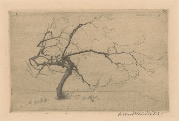 Klein boompje 1923