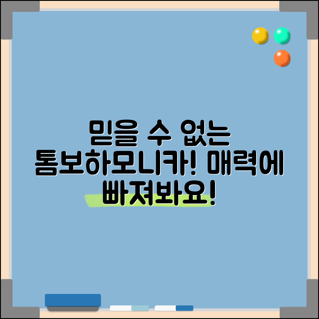 믿을 수 없는 톰보하모니카의 매력