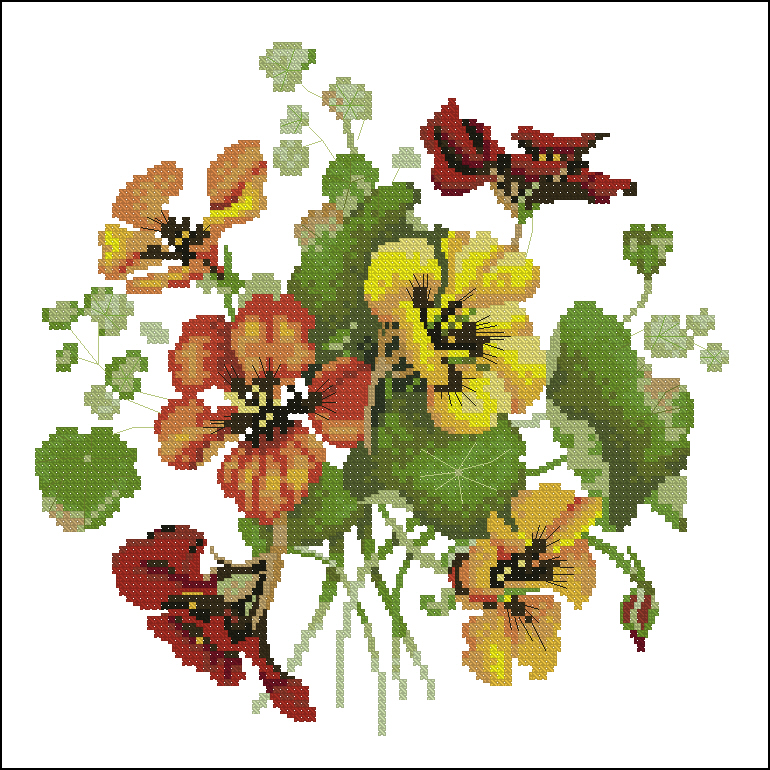 CMP VP698 Nasturtium Posy