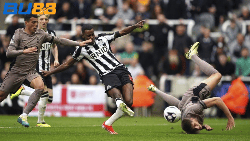 Phong độ gần đây của Newcastle - Tottenham